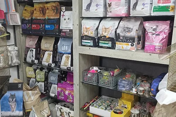 By Guşci Petshop Petmarket - Resim 12