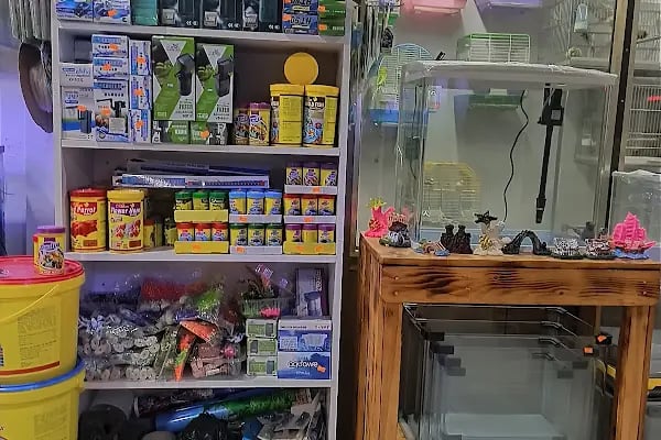 By Guşci Petshop Petmarket - Resim 9