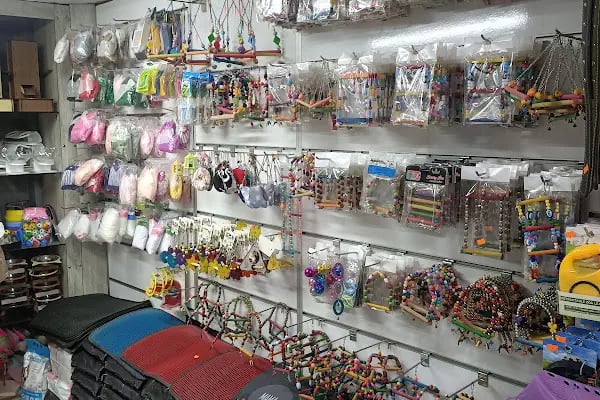 By Guşci Petshop Petmarket - Resim 2