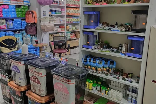 By Guşci Petshop Petmarket - Resim 20