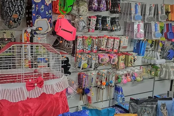 By Guşci Petshop Petmarket - Resim 17