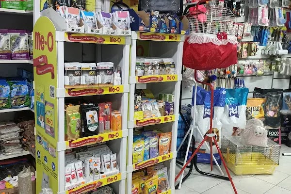 By Guşci Petshop Petmarket - Resim 5