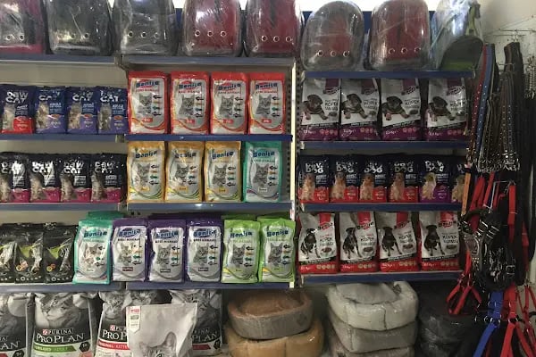 By Guşci Petshop Petmarket - Resim 18
