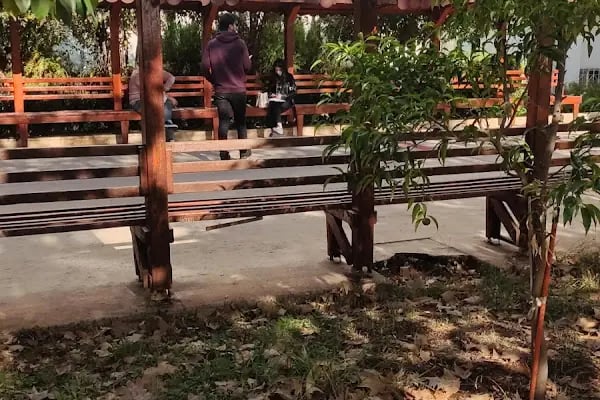 Çukurova Üniversitesi Matematik Bölümü - Resim 2