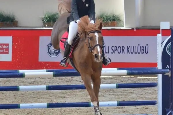 TULYA KURTULAN ATLI SPOR KULÜBÜ - Resim 5