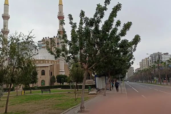 HACI HASAN ILGIN CAMİİ - Resim 7
