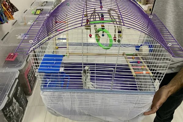 LİVAMİR PETSHOP AKVARYUM - Resim 16