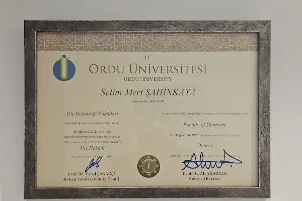 Alanya Dental Place - Dt. Selim Mert Şahinkaya - Resim 18