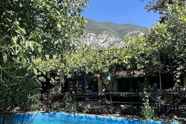 Elegance Villas &amp; Aparts - Resim 4