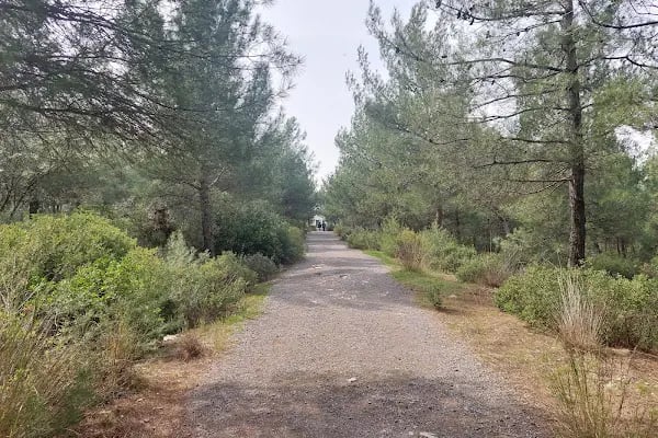 DEÜ Doğal Yaşam Parkı - Resim 4