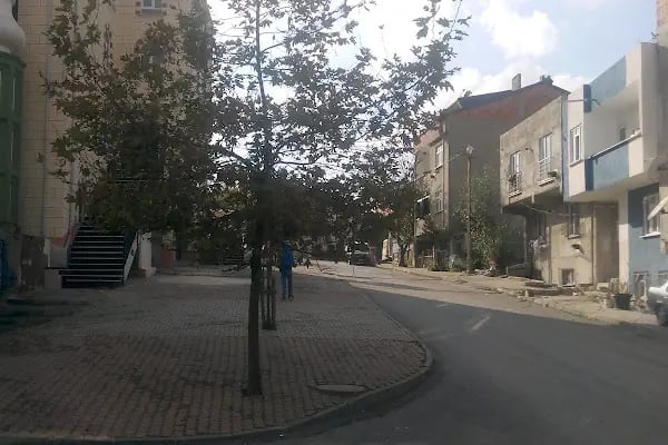 Boğazköy Merkez Cami - Resim 20