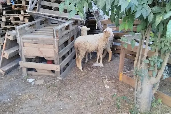 Hadımköy Spor Kompleksi - Resim 13
