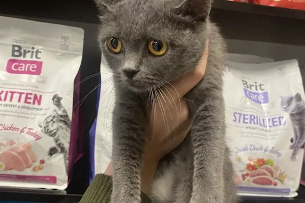 🐶🐱DİYARBAKIR ÖZEL VETERİNER KLİNİĞİ🐶🐱 - Resim 1