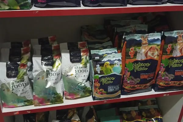 Konya sancak kosova mah alaska pet shop - Resim 9