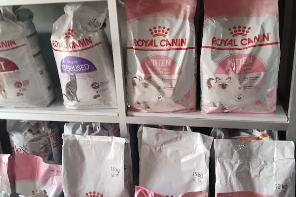 Konya sancak kosova mah alaska pet shop - Resim 10