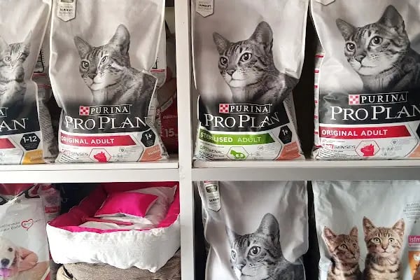 Konya sancak kosova mah alaska pet shop - Resim 8