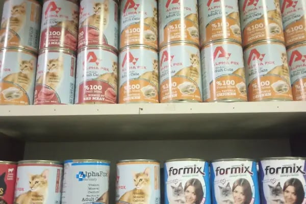 Konya sancak kosova mah alaska pet shop - Resim 16