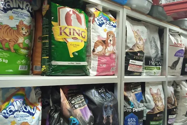 Konya sancak kosova mah alaska pet shop - Resim 3