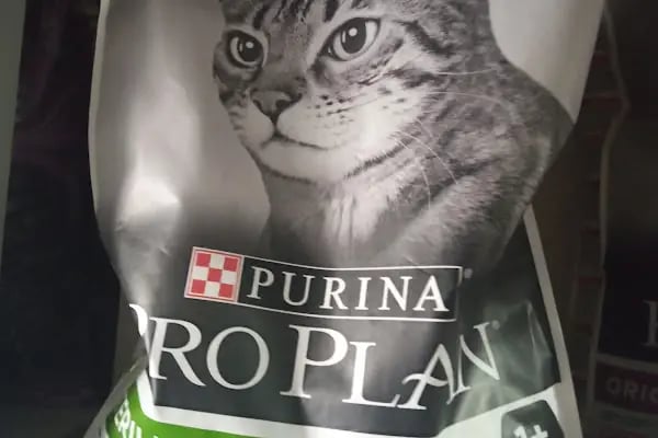 Konya sancak kosova mah alaska pet shop - Resim 5
