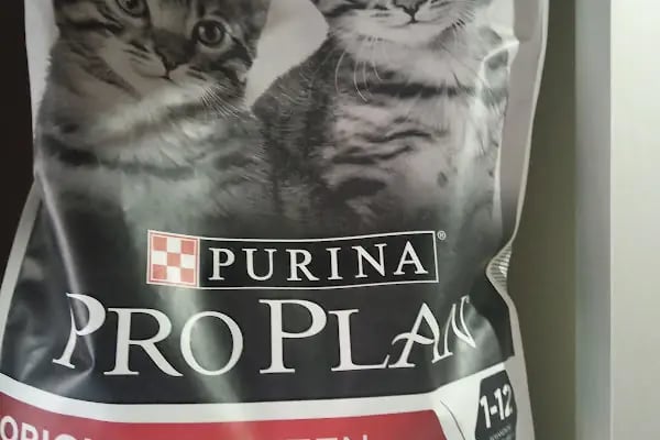 Konya sancak kosova mah alaska pet shop - Resim 14