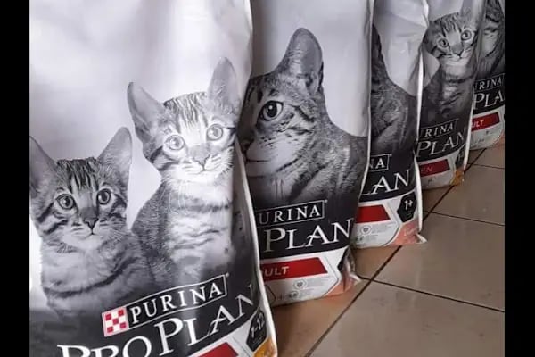 Konya sancak kosova mah alaska pet shop - Resim 17