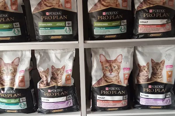 Konya sancak kosova mah alaska pet shop - Resim 2