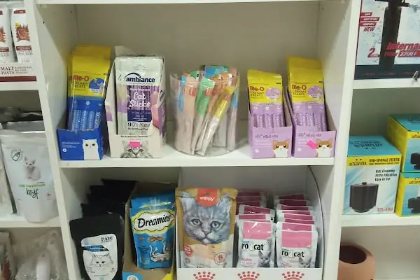 Konya sancak kosova mah alaska pet shop - Resim 12