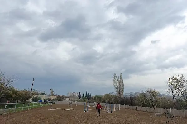 Rota Binicilik Kulübü - Resim 15