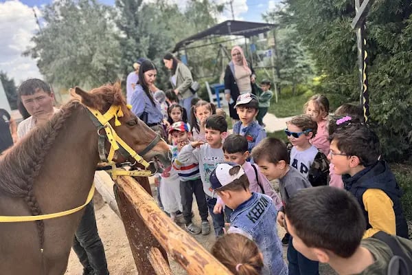 ÖZEL BİLGE BEYİN ANAOKULU - Resim 7