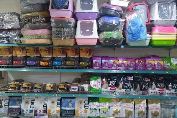 İnanç Akvaryum &amp; Petshop - Resim 17