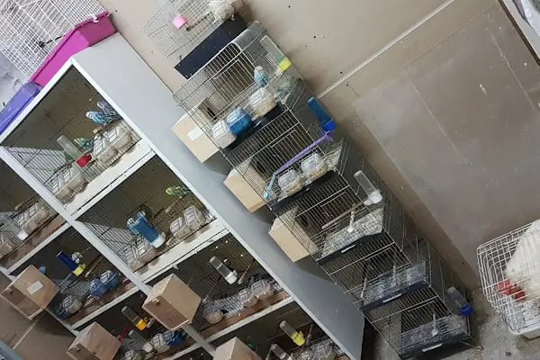 İnanç Akvaryum &amp; Petshop - Resim 14