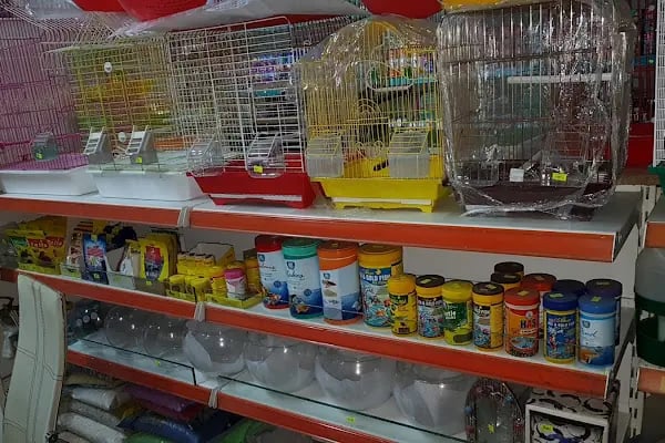 İnanç Akvaryum &amp; Petshop - Resim 10