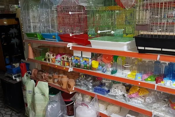 İnanç Akvaryum &amp; Petshop - Resim 2