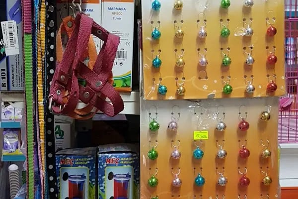 İnanç Akvaryum &amp; Petshop - Resim 13