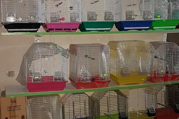 İnanç Akvaryum &amp; Petshop - Resim 16