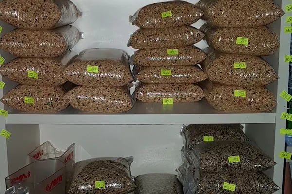 İnanç Akvaryum &amp; Petshop - Resim 20