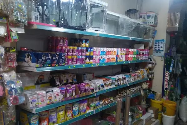 İnanç Akvaryum &amp; Petshop - Resim 9