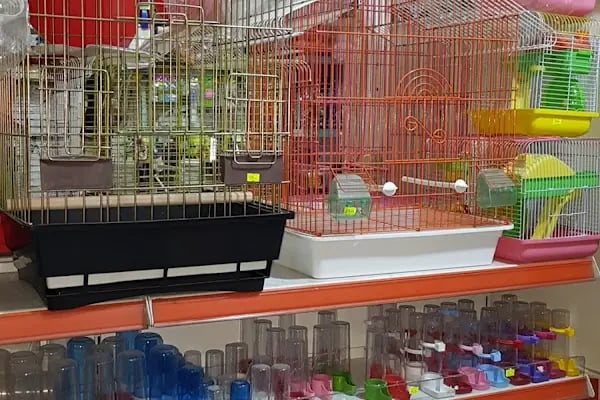 İnanç Akvaryum &amp; Petshop - Resim 8