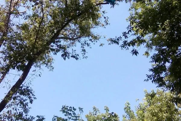 Polis Parkı - Resim 11