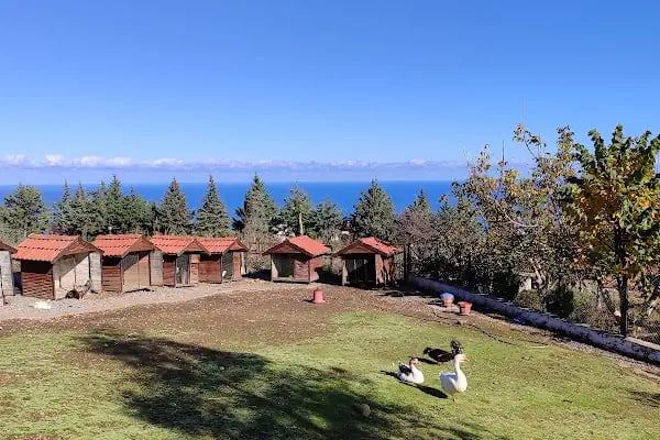 Lermioğlu Konaği Cafe &amp; Restaurant - Resim 15
