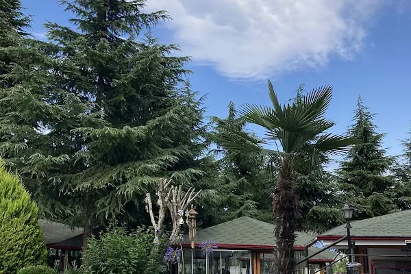 Lermioğlu Konaği Cafe &amp; Restaurant - Resim 19
