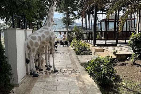 Lermioğlu Konaği Cafe &amp; Restaurant - Resim 9