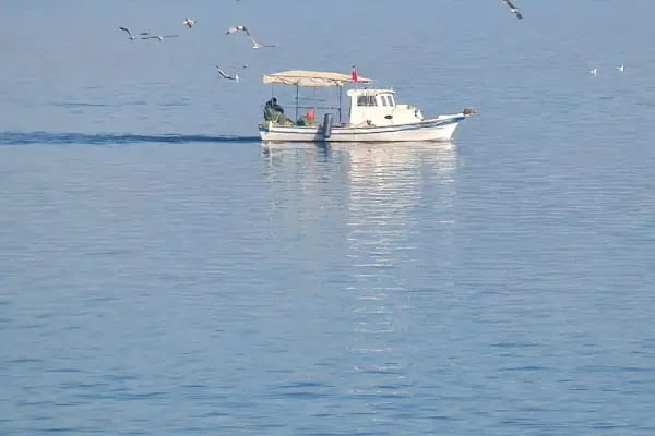 Roseira Mar-Inn Luxury - Resim 19