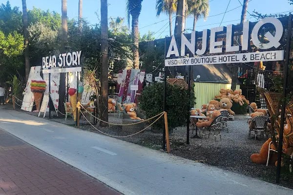 Anjeliq House Boutique Hotel - Resim 11