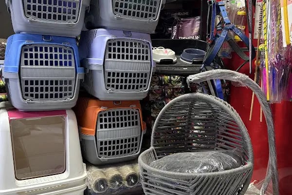 Tüylü pet shop - Resim 9