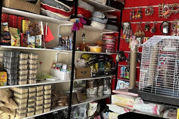 Tüylü pet shop - Resim 5