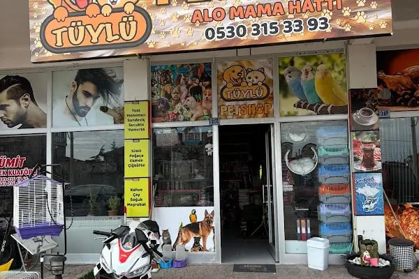 Tüylü pet shop - Resim 19