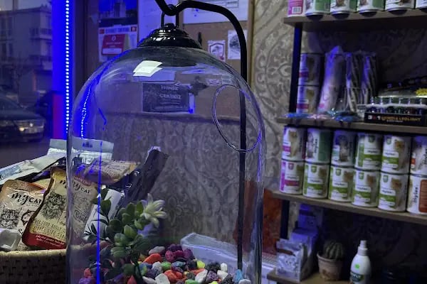 Tüylü pet shop - Resim 11