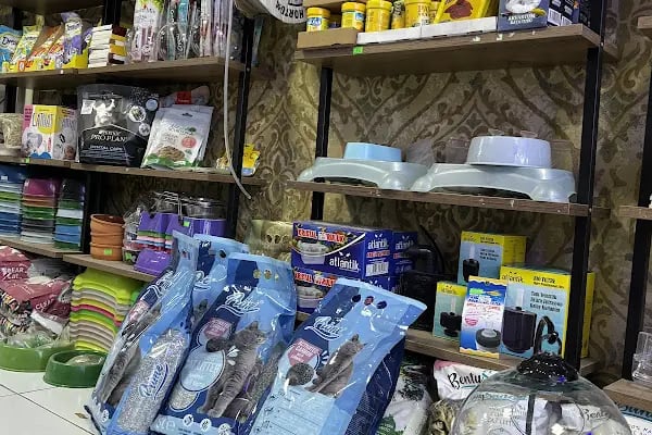 Tüylü pet shop - Resim 13