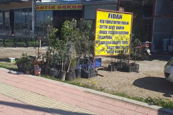 Duygu Halı Temizleme - Resim 7
